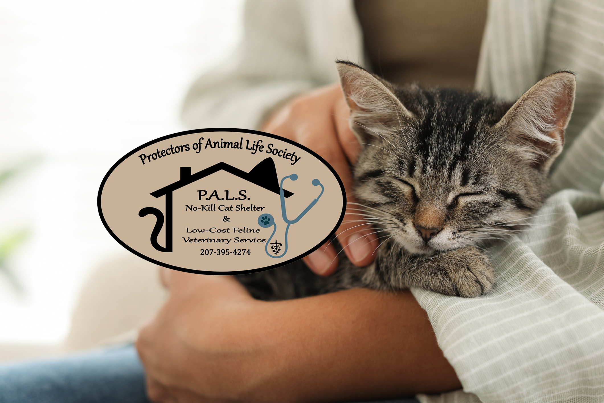 P.A.L.S. No Kill Cat Shelter Drive